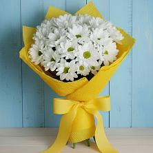 Букет цветов из:  Хризантемы в Радченко