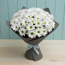 Букет цветов из:  Хризантемы #REPLACE_PRED# Радченко