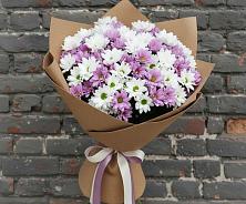 Букет цветов из:  Хризантемы #REPLACE_PRED# Радченко