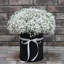 Цветочная композиция из Гипсофила в шляпной коробке в Радченко