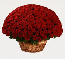 Премиум букет из: Розы в Радченко