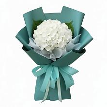 Букет цветов из:  Гортензия в Радченко